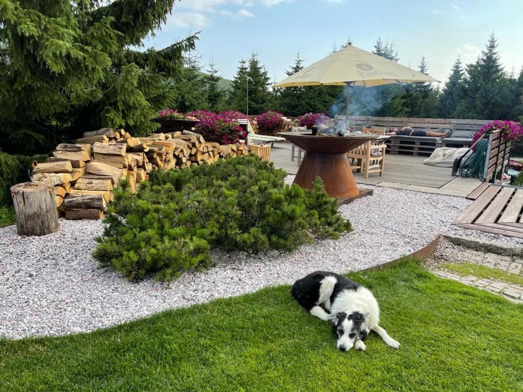 Hotel Oddech Pec pod Snezkou Exterior foto